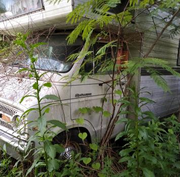 Dodge Camper